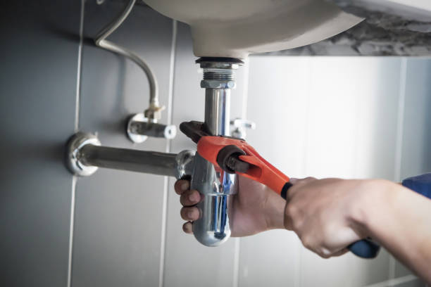 Best Local Plumber Services  in Newaygo, MI